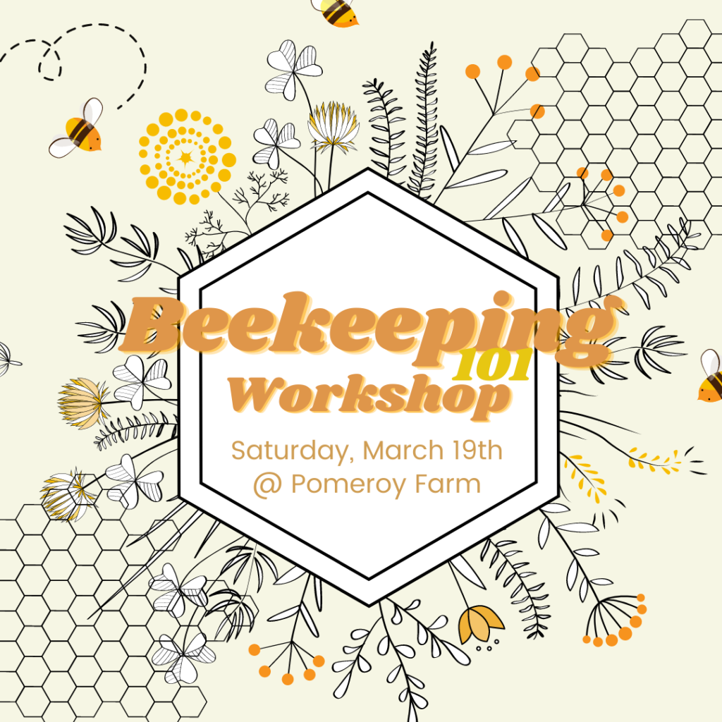 Beekeeping Workshop (Facebook Event Cover) (Instagram Post)