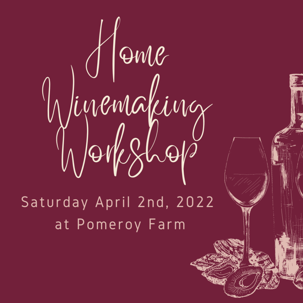 Home Winemaking Workshop (Facebook Post) (Instagram Post)