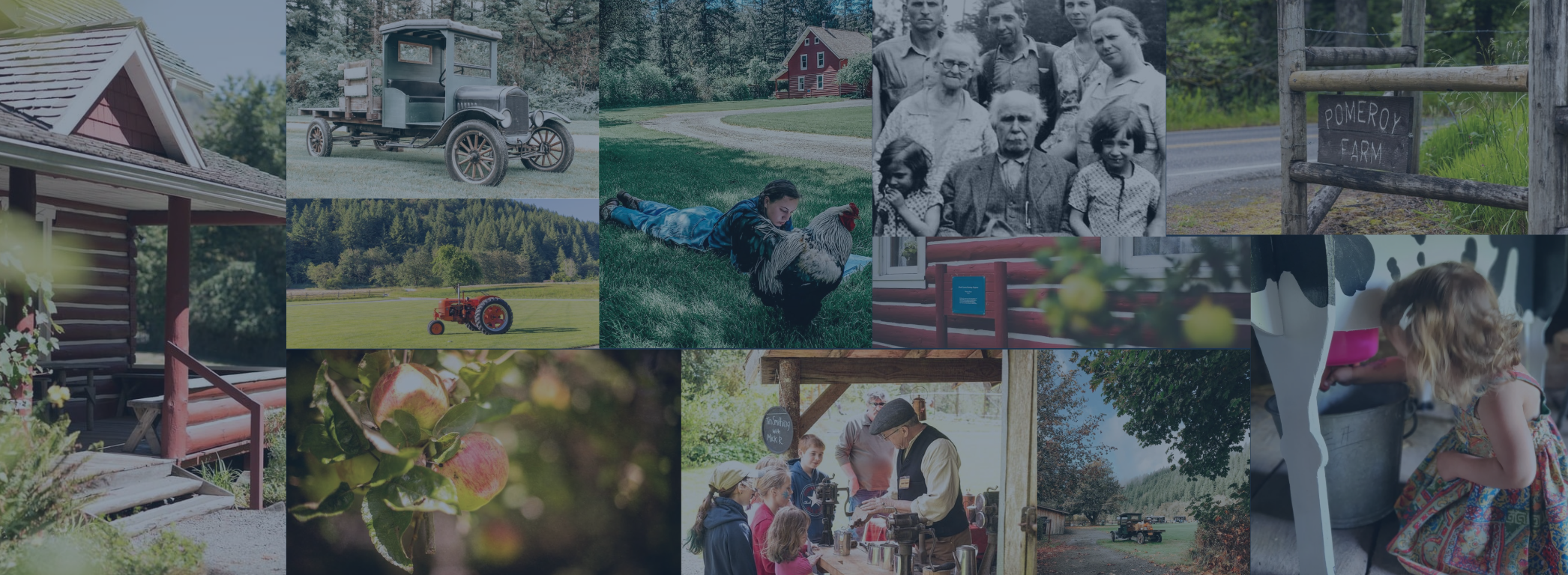 Screenshot 2025-04-29 at 1.48.16 PM