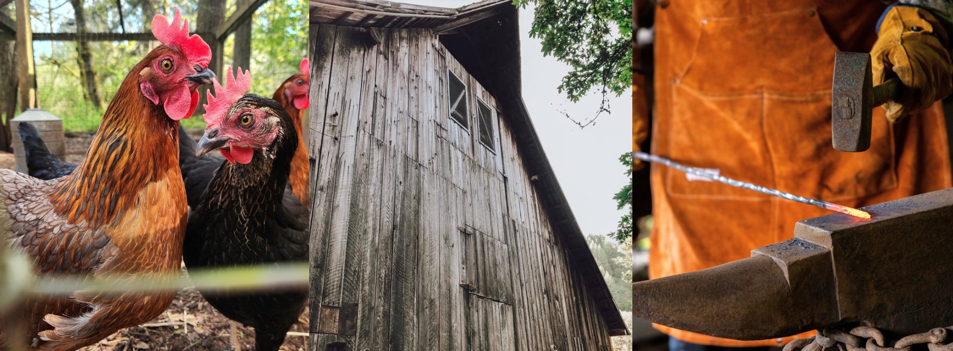 Screenshot 2025-04-29 at 1.57.47 PM