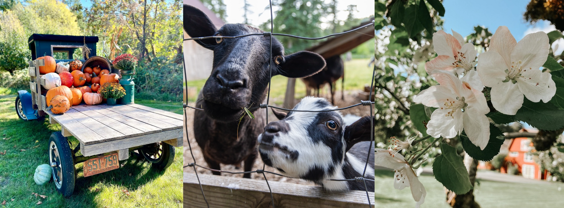 Screenshot 2025-04-29 at 2.47.29 PM